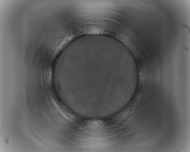 X0000103150304200809051643