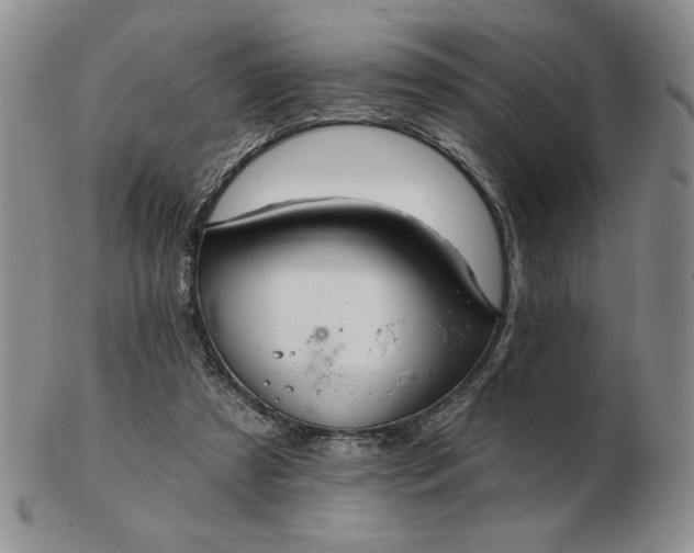 X0000103150305200809051643