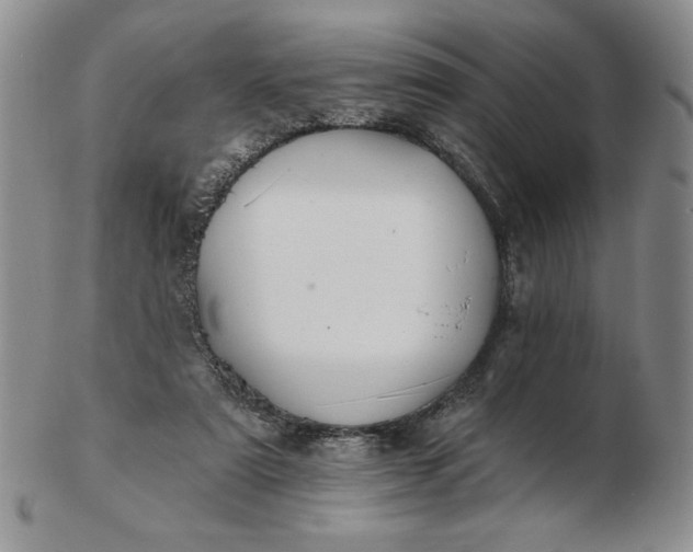 X0000103150307200809051643