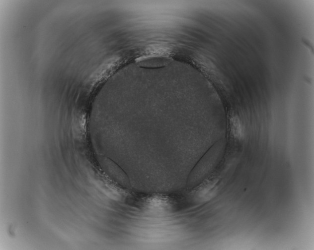 X0000103150308200809051643