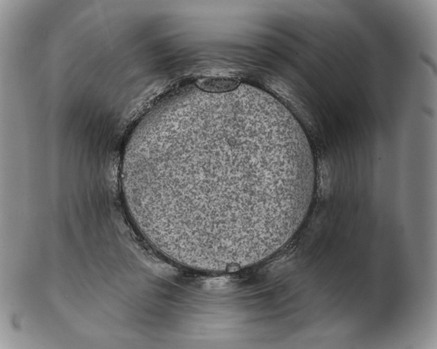 X0000103150309200809051643