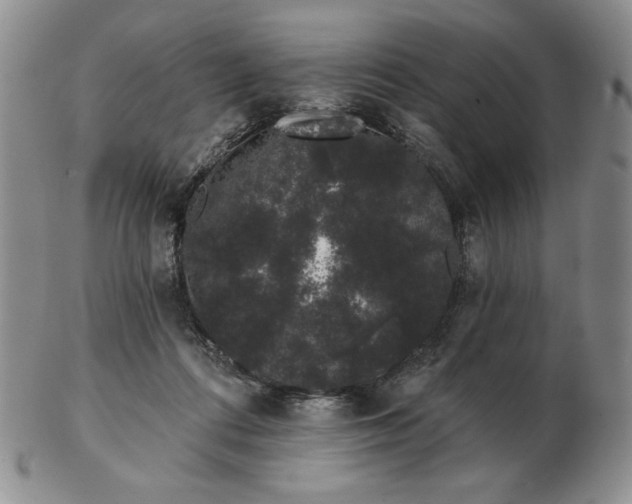 X0000103150312200809051643