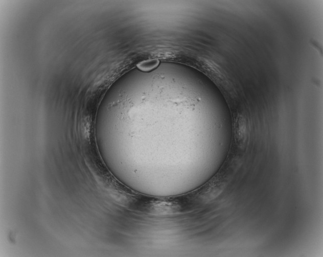 X0000103150315200809051643