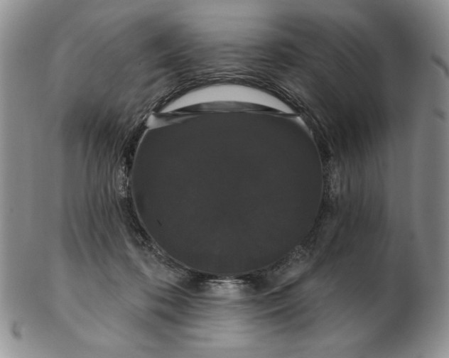 X0000103150316200809051643