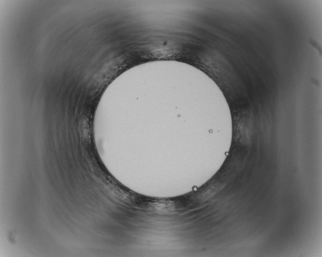 X0000103150317200809051643