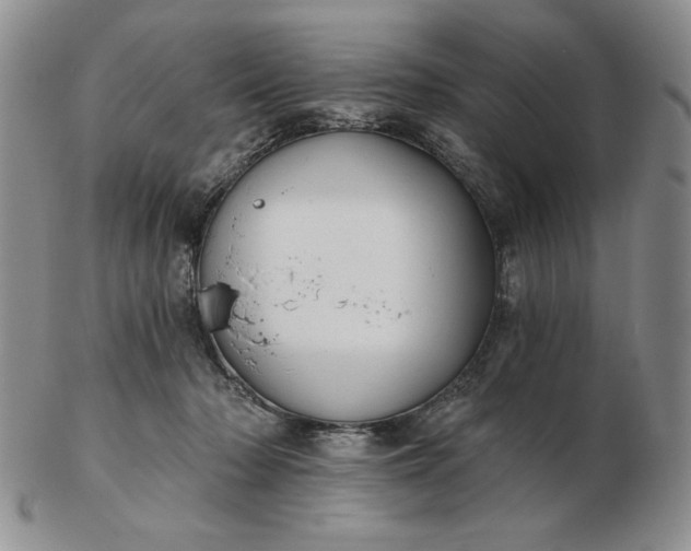 X0000103150318200809051643