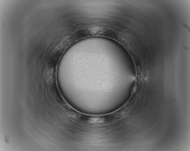 X0000103150319200809051643