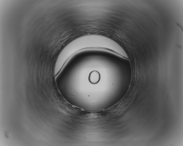 X0000103150320200809051643