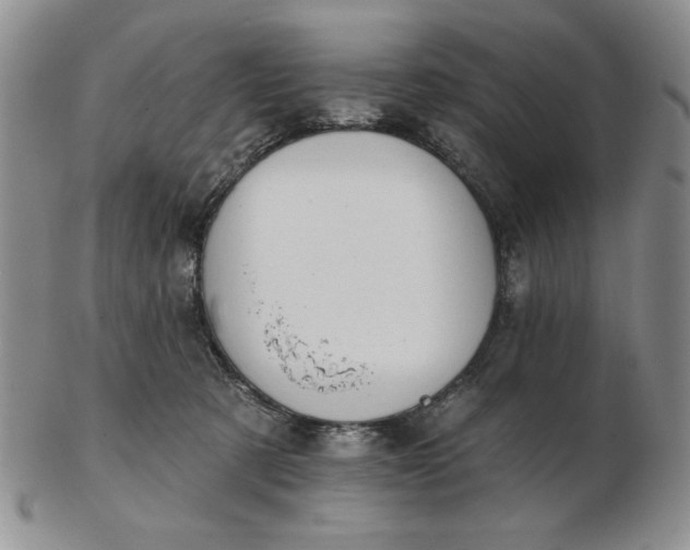 X0000103150321200809051643