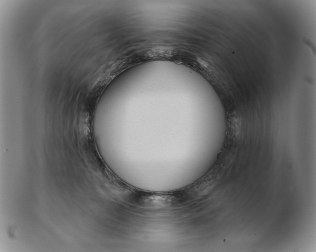 X0000103150323200809051643