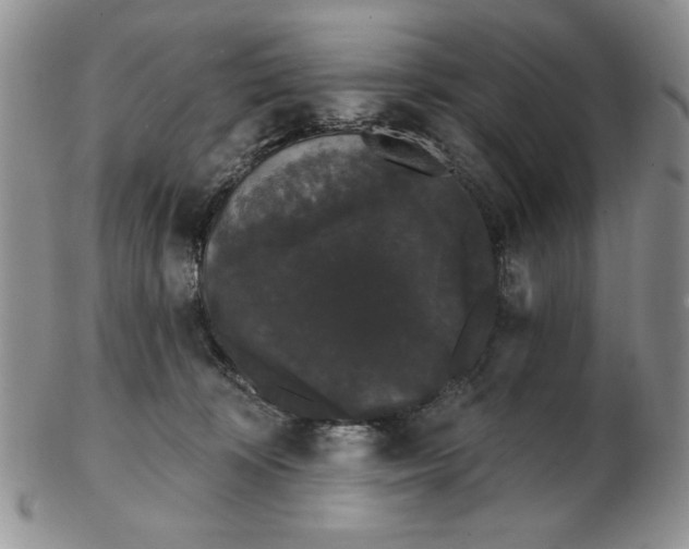 X0000103150324200809051643