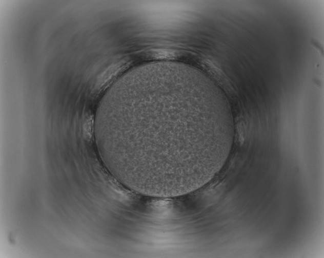 X0000103150325200809051643