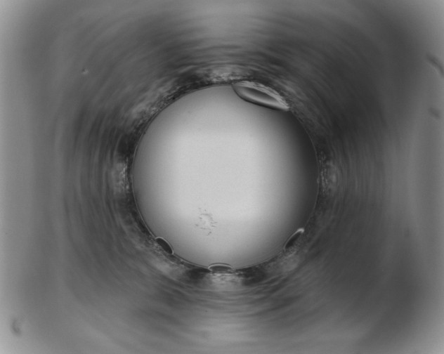 X0000103150327200809051643