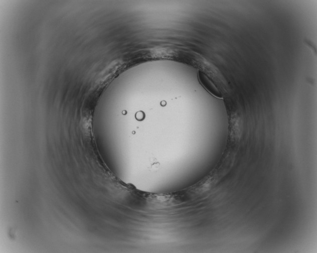 X0000103150329200809051643