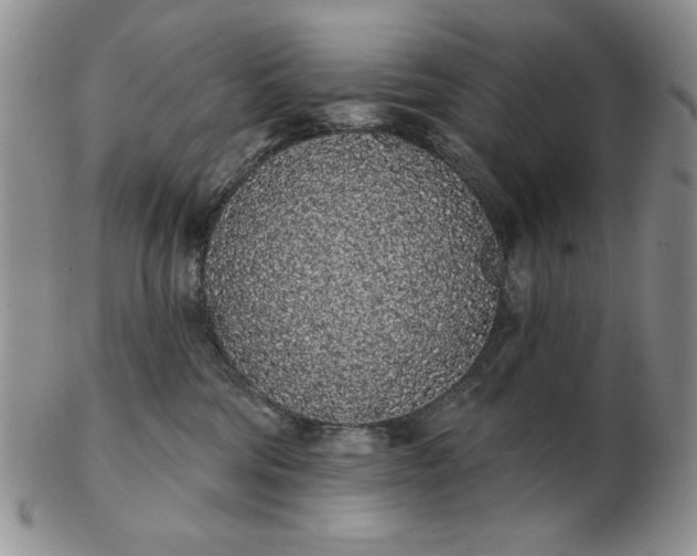 X0000103150330200809051643