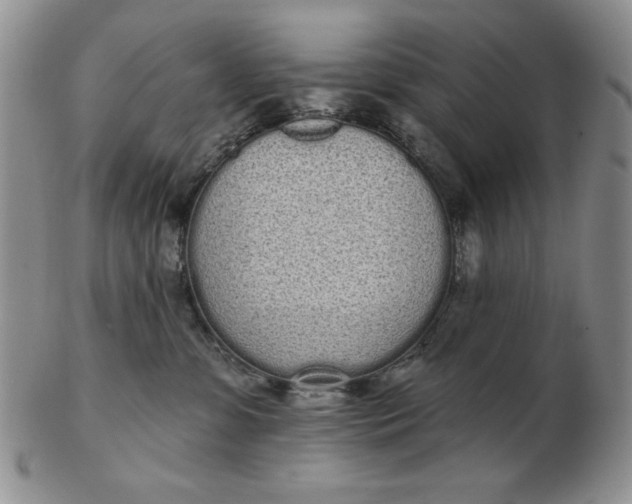 X0000103150331200809051643