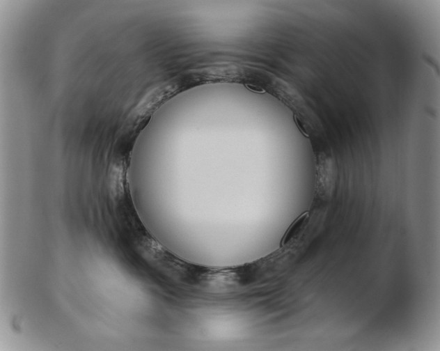 X0000103150333200809051643