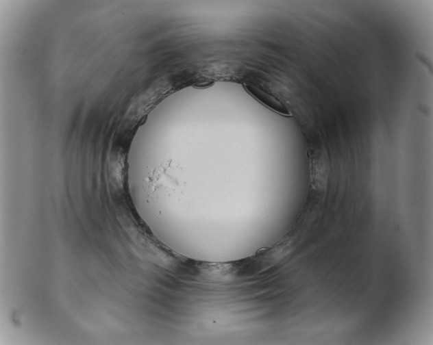 X0000103150334200809051643