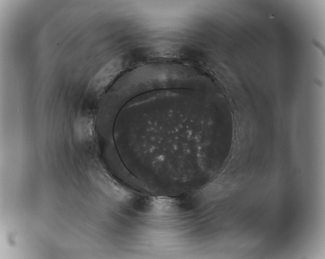 X0000103150336200809051643