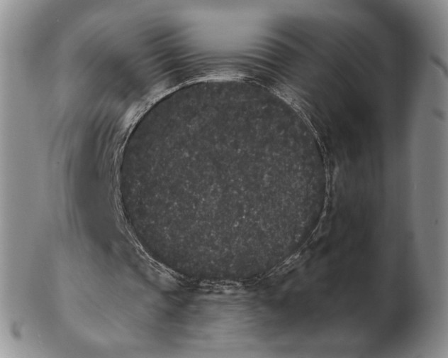 X0000103150337200809051642