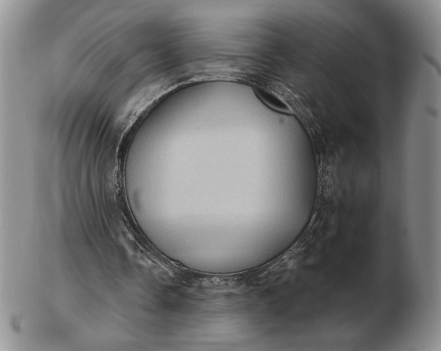 X0000103150338200809051642