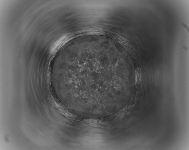 X0000103150339200809051642