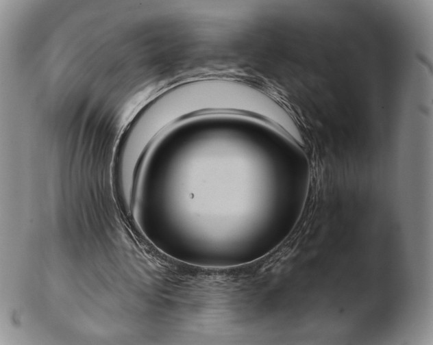 X0000103150340200809051642