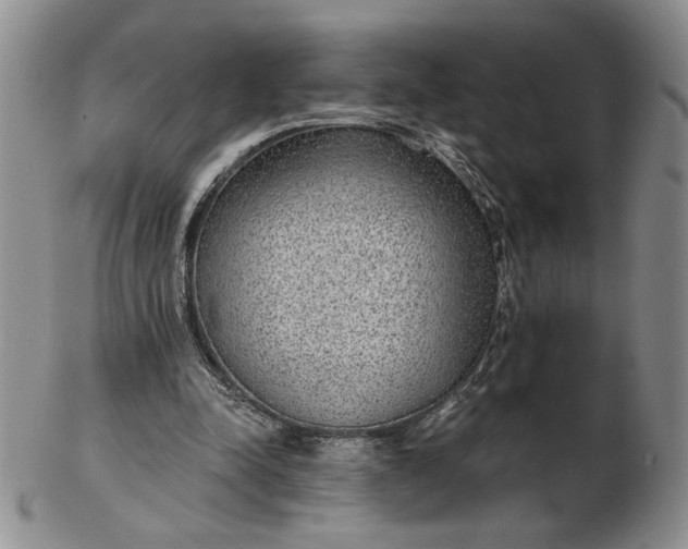 X0000103150342200809051642