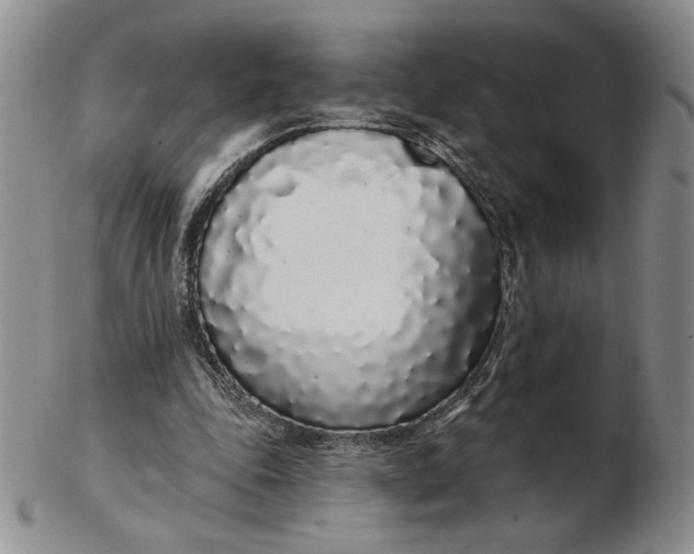 X0000103150343200809051642