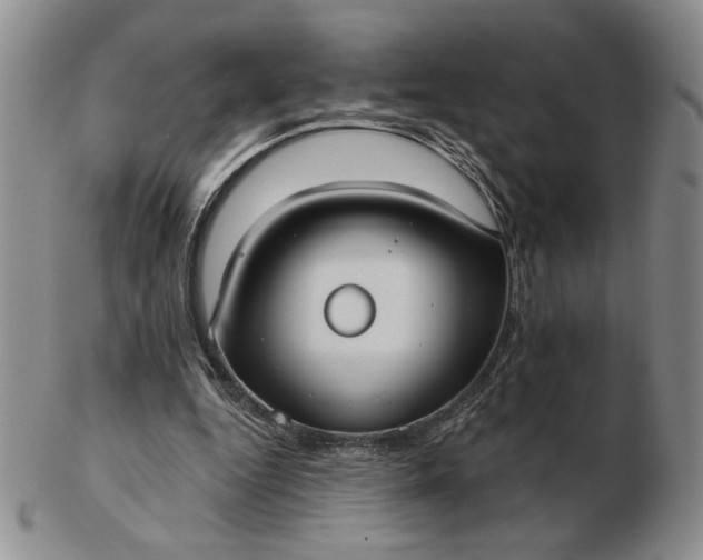 X0000103150344200809051642