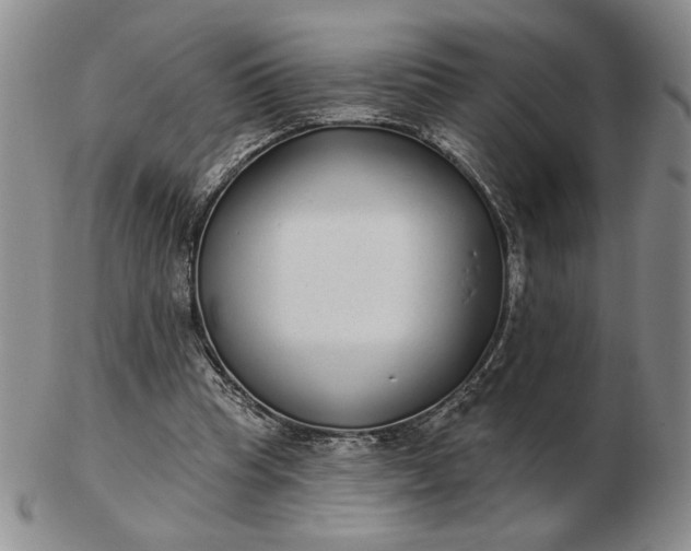 X0000103150345200809051642