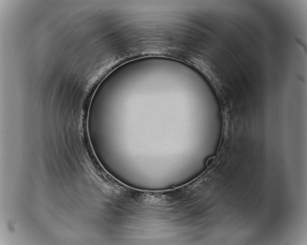 X0000103150346200809051642