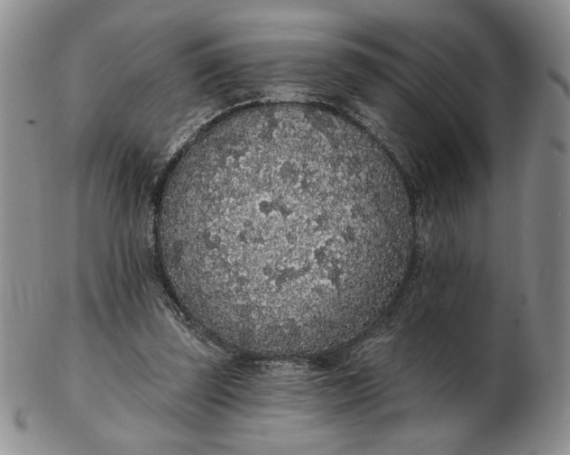 X0000103150347200809051642