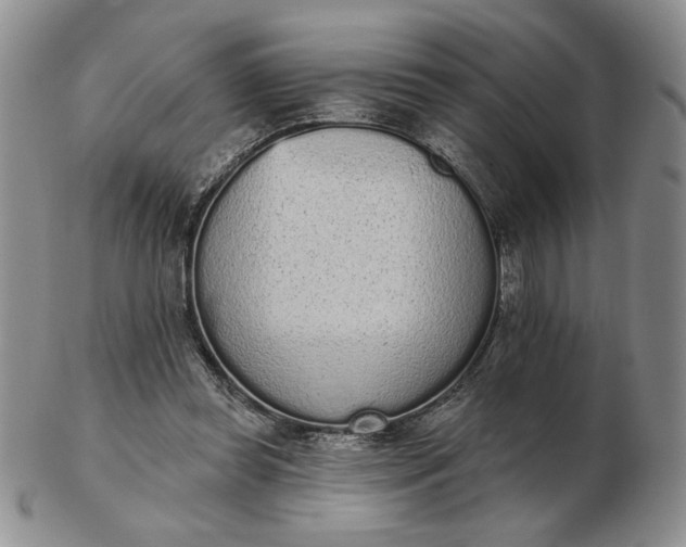 X0000103150349200809051642