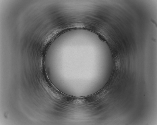 X0000103150350200809051642