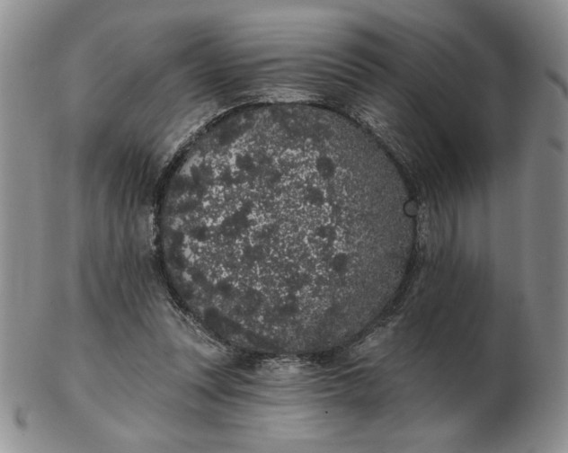 X0000103150351200809051642