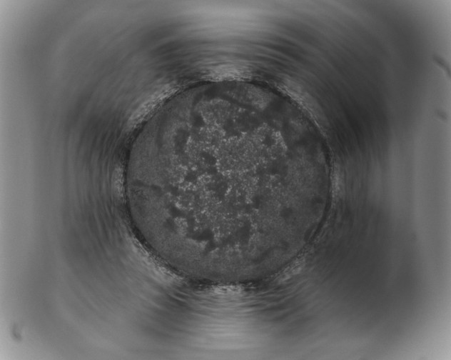 X0000103150353200809051642