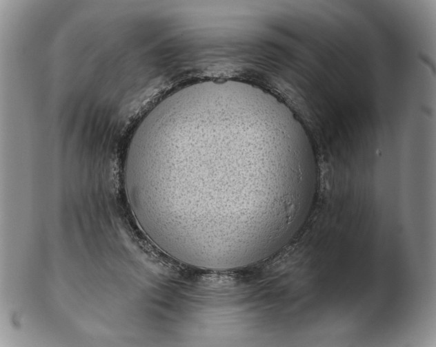 X0000103150354200809051642