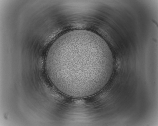 X0000103150355200809051642