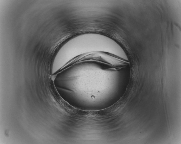 X0000103150356200809051642