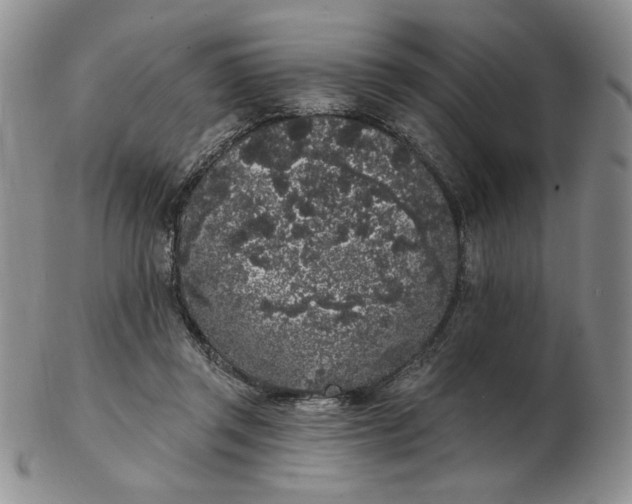 X0000103150357200809051642