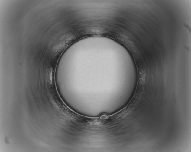 X0000103150358200809051642