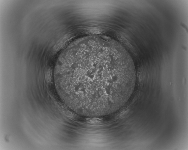 X0000103150359200809051642