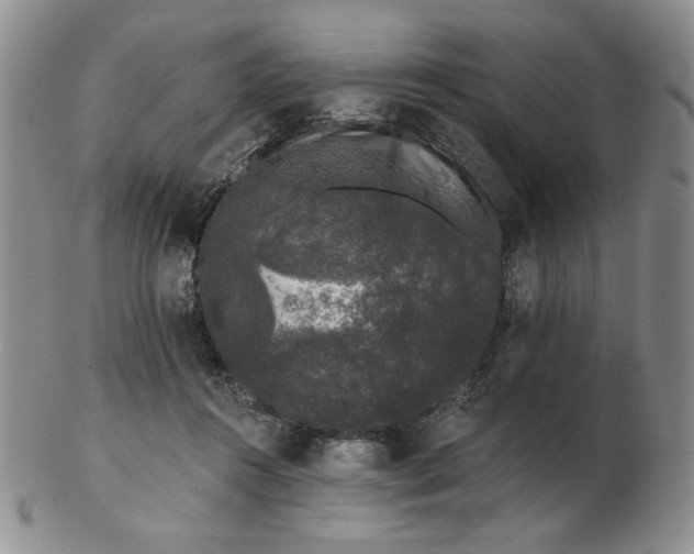 X0000103150360200809051642