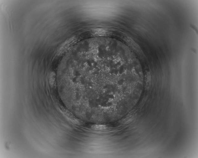 X0000103150361200809051642