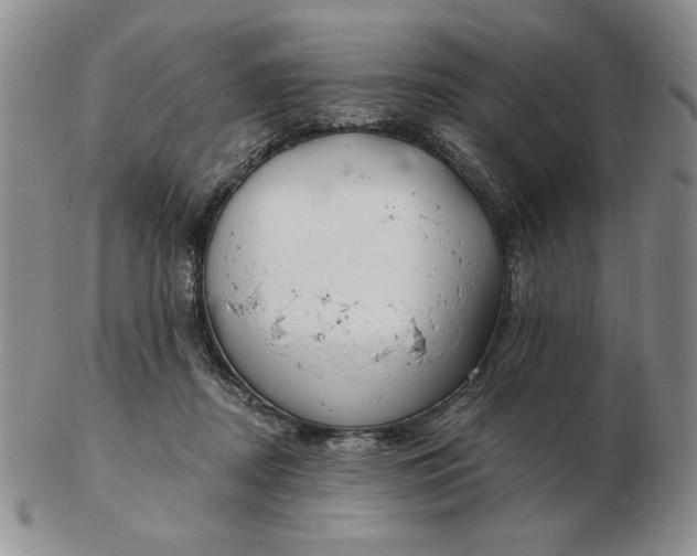 X0000103150362200809051642