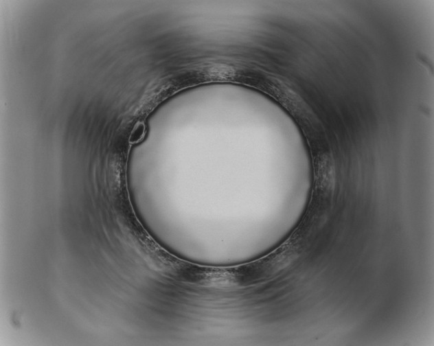 X0000103150363200809051642