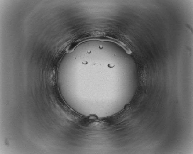 X0000103150364200809051642