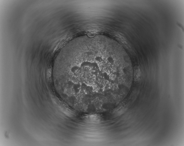 X0000103150365200809051642