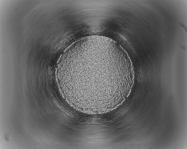 X0000103150366200809051642